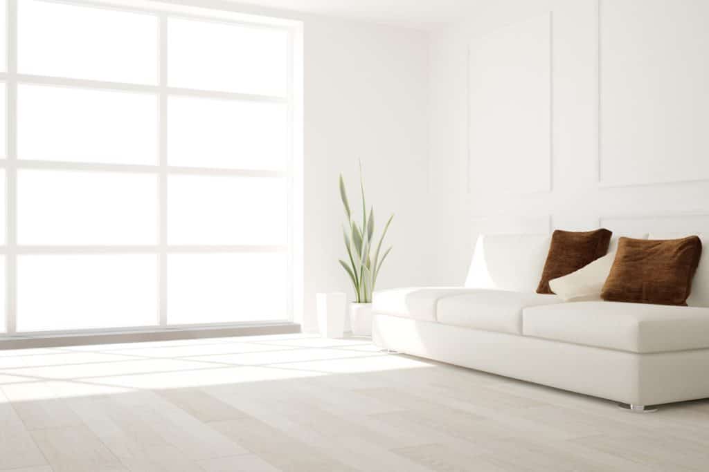 A living room with a white couch and a plant near the window.